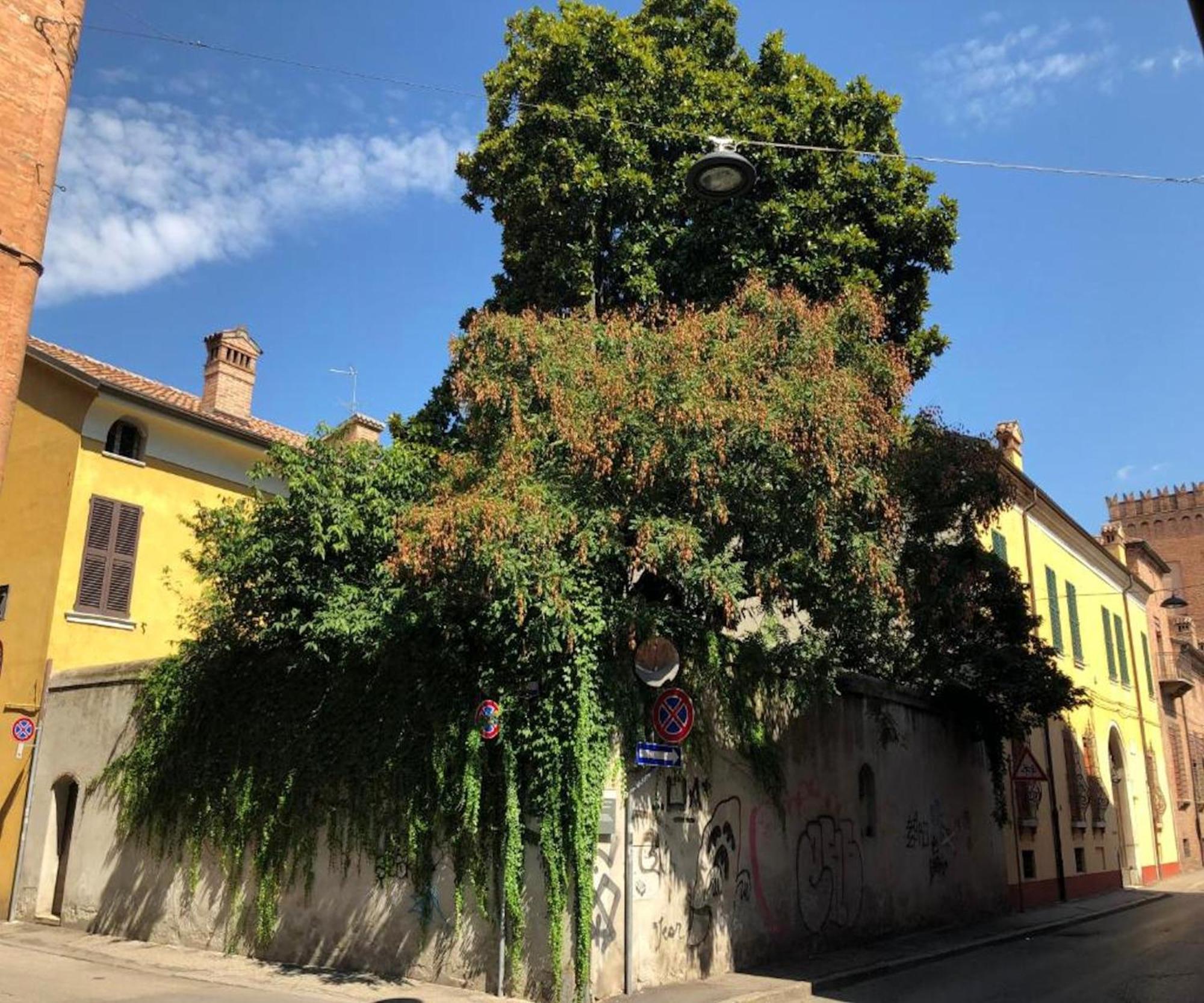 Il Giardino Segreto Apartman Ferrara Kültér fotó